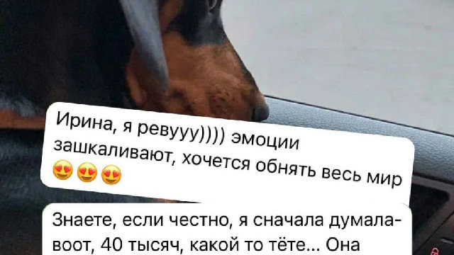 Отзыв от 30.01.2026